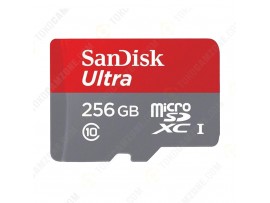 SanDisk Ultra microSDXC UHS-I Class 10 256GB - Free Bola Piala Dunia